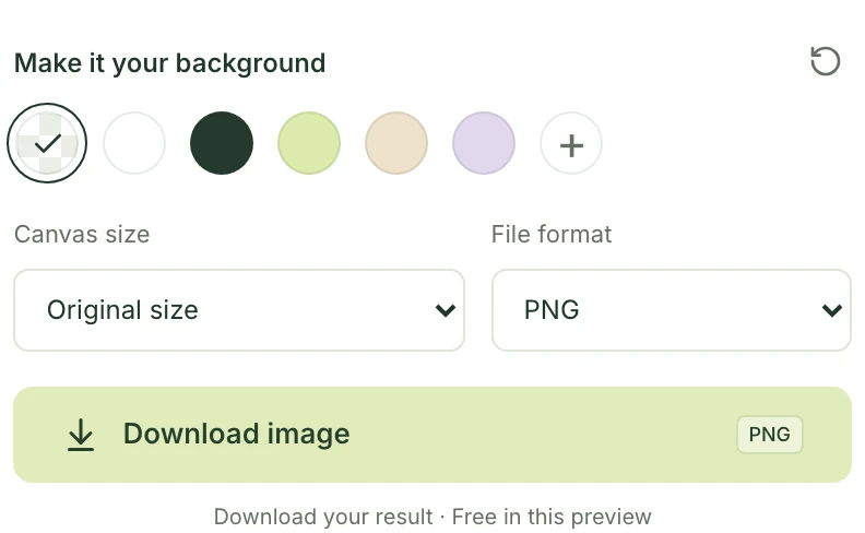 Mattevia export controls with a transparent background and PNG format selected.