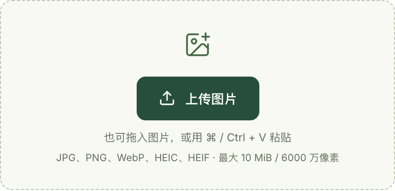 Mattevia 中文上传区域，列出 HEIC、HEIF 等支持格式，以及 10 MiB 和 6000 万像素的上传限制。