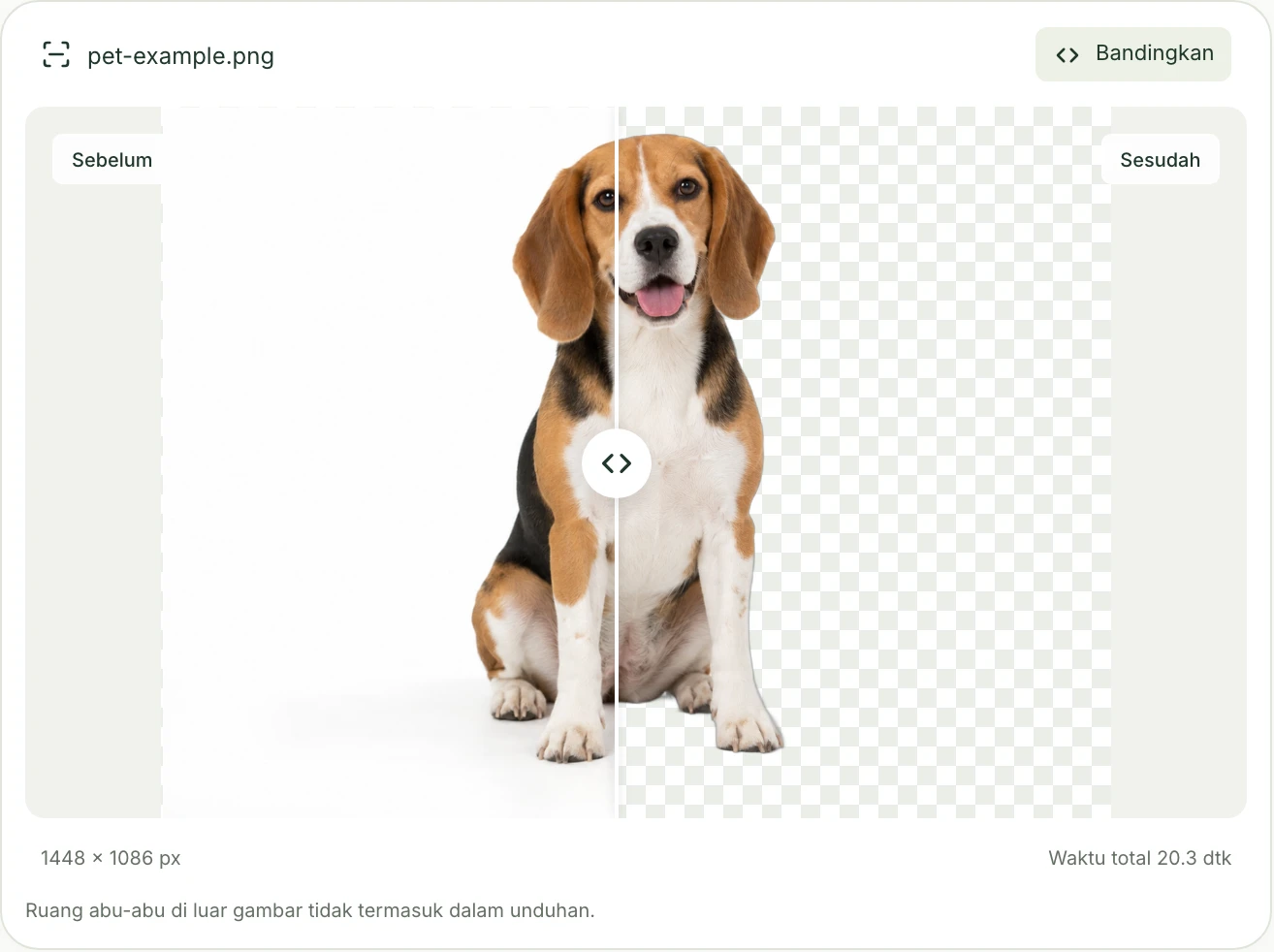 Anjing beagle dalam tampilan perbandingan Mattevia, dengan foto berlatar putih di kiri dan pratinjau transparansi kotak-kotak di kanan.