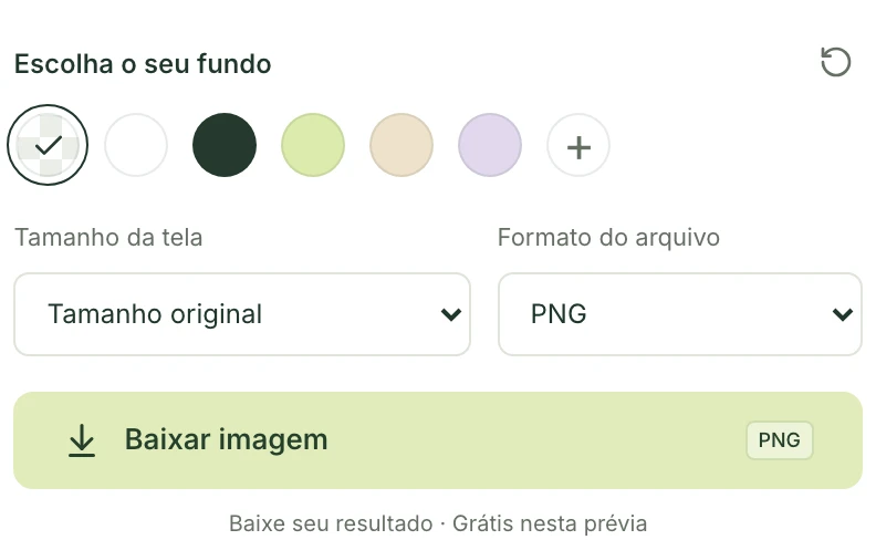 Controles de exportação do Mattevia com a opção quadriculada de transparência selecionada e formato PNG.