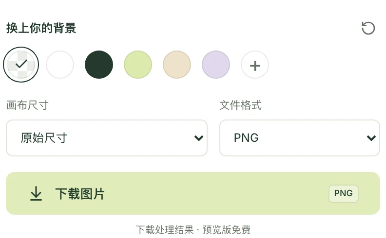 Mattevia 中文导出设置中已选中棋盘格透明背景,文件格式为 PNG。